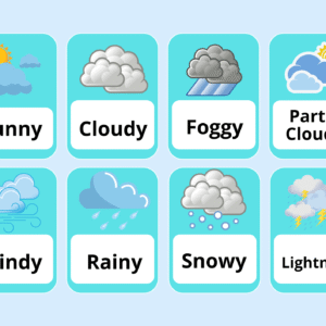 Purple Yellow Weather Flashcards